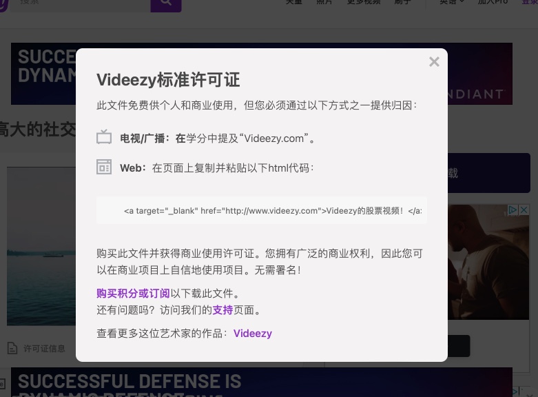 Videezy(图1) videezy-license.jpg