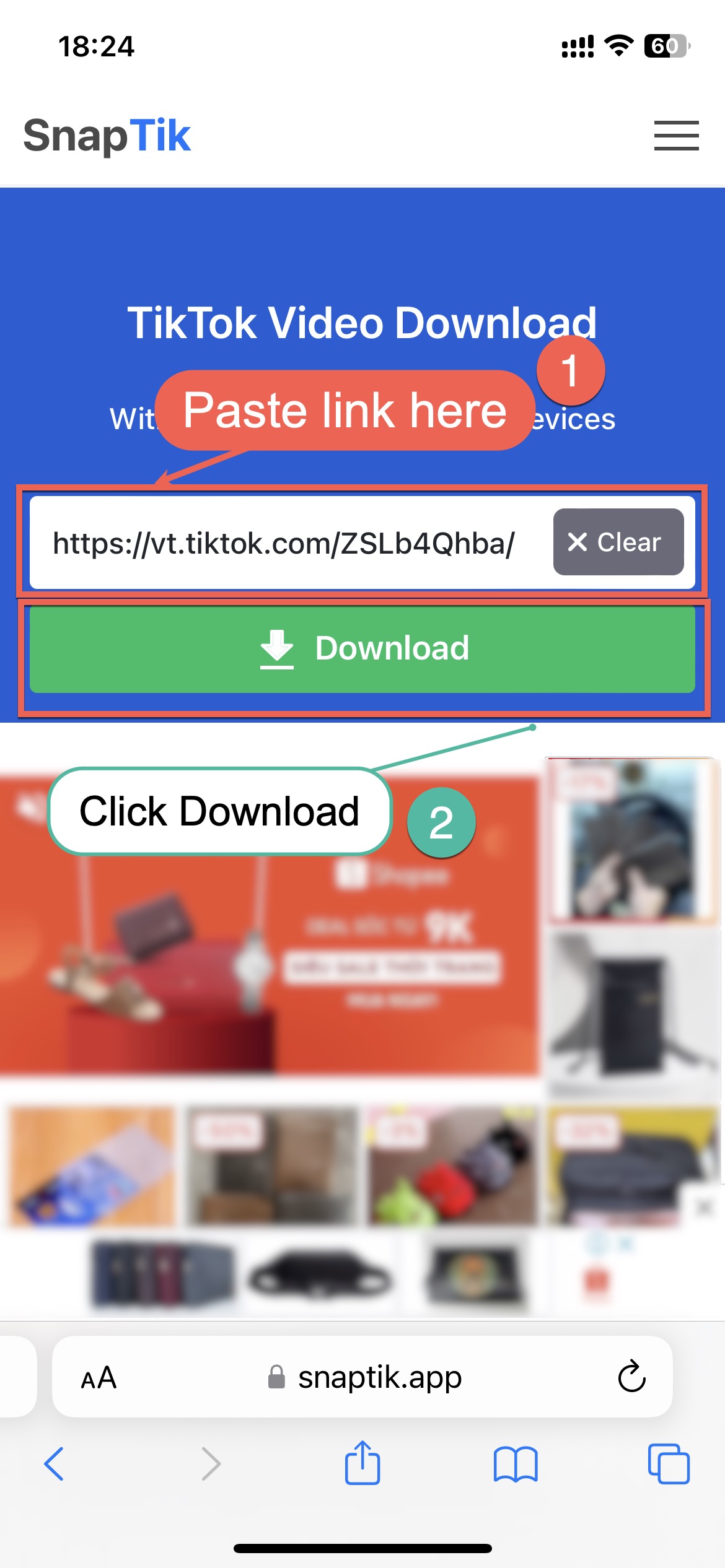 SnapTik(图2) paste-link-to-snaptik.jpg