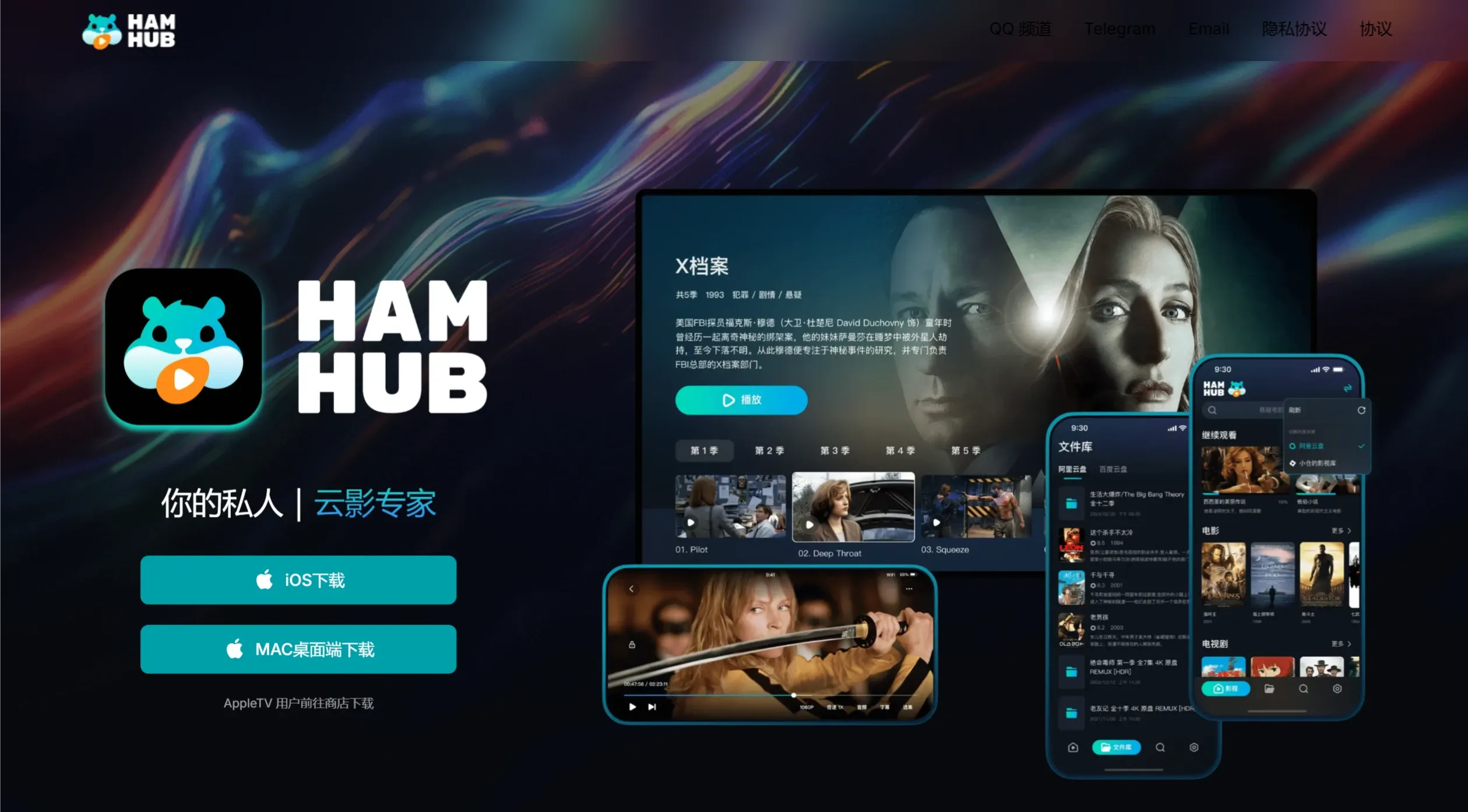 HamHub播放器 HamHub播放器.webp