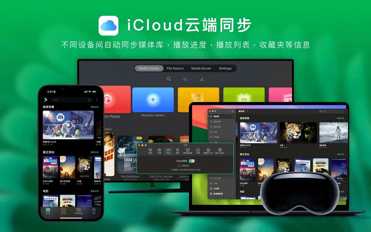 VidHub播放器功能 VidHub播放器功能.webp