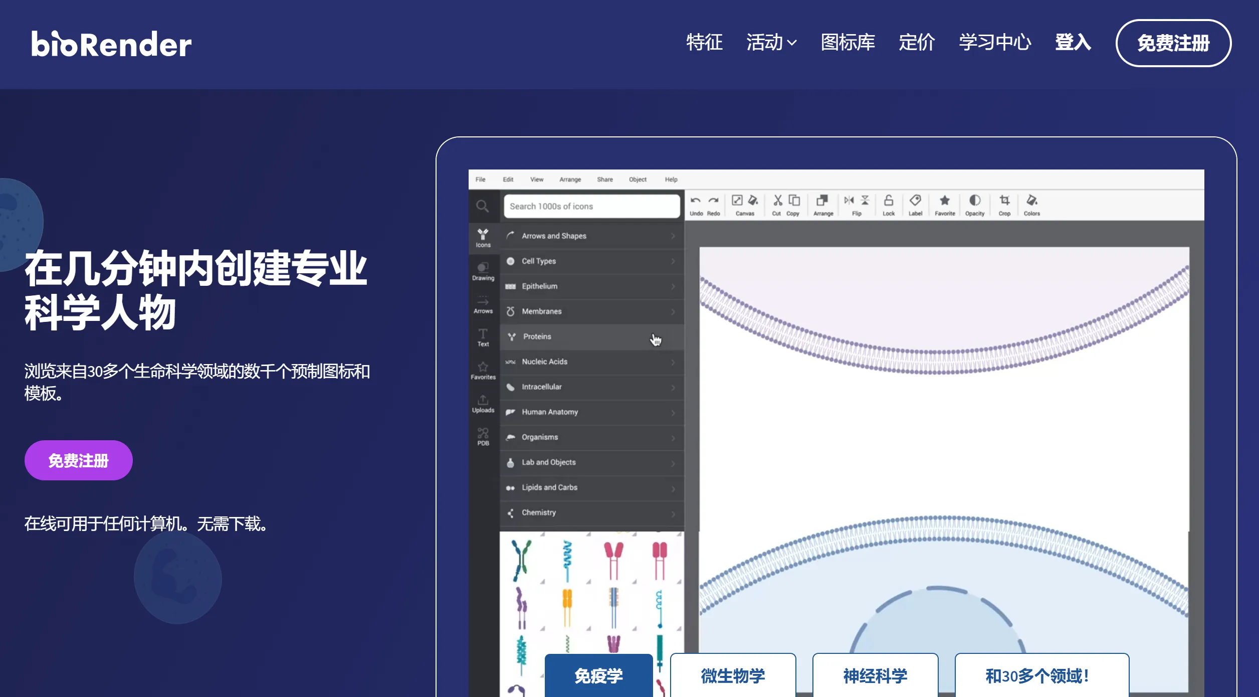 BioRender BioRender.webp