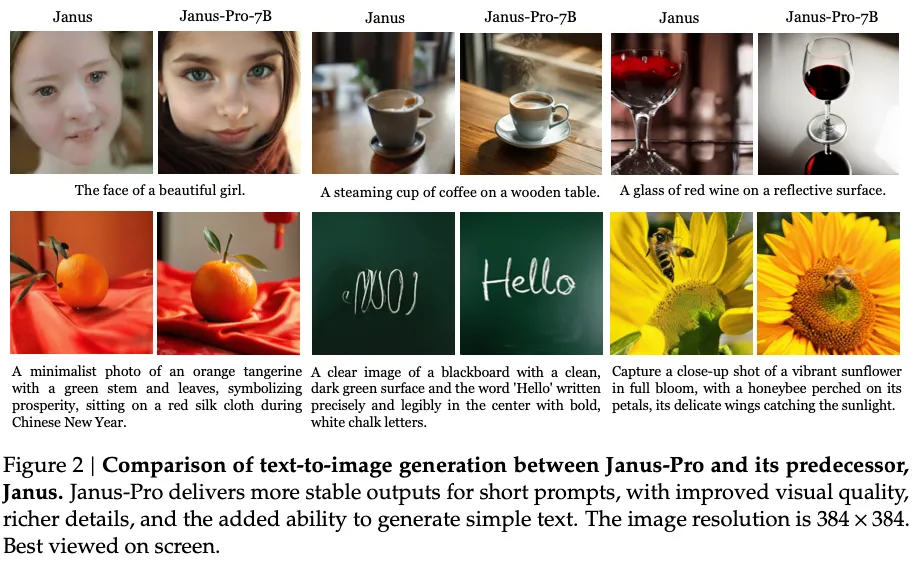 Janus-Pro模型 Janus-Pro模型.webp