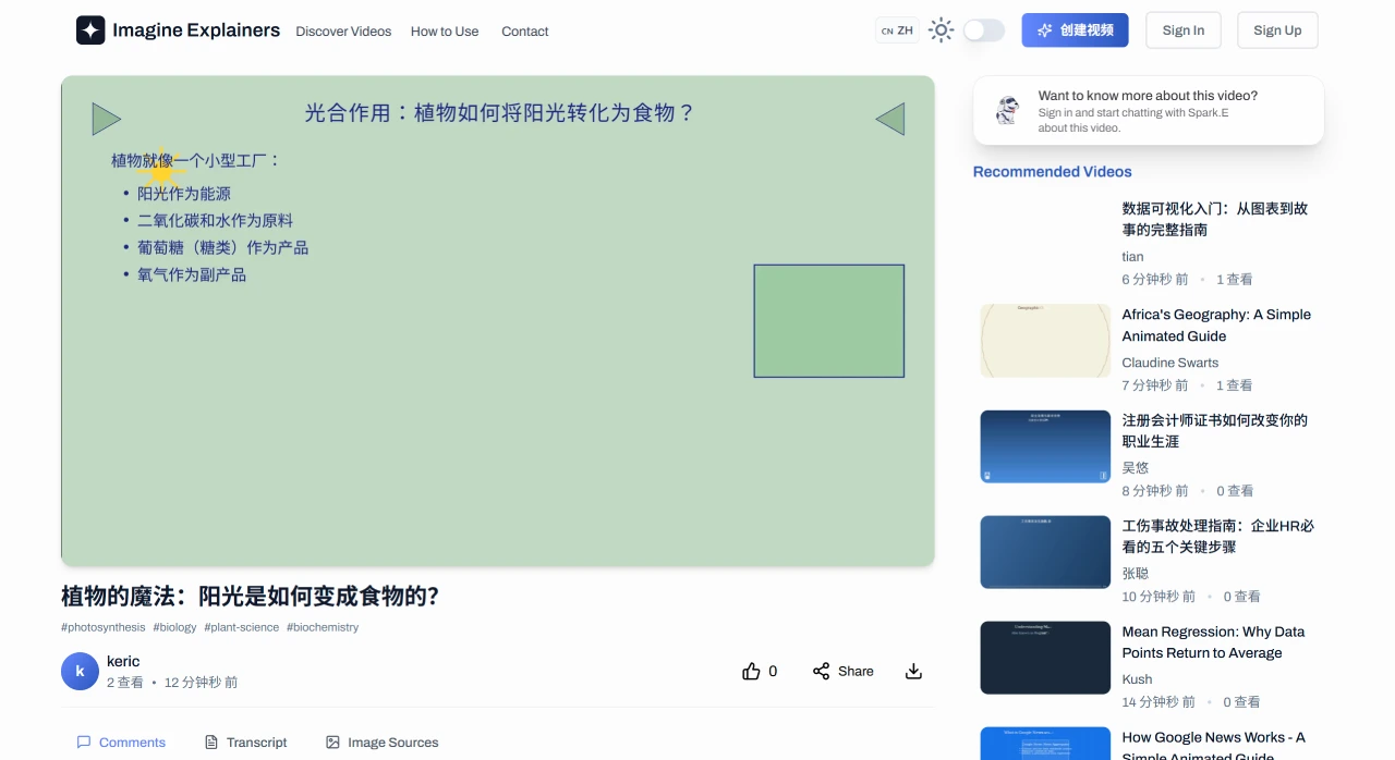 Imagine Explainers使用教程 Imagine Explainers使用教程.webp