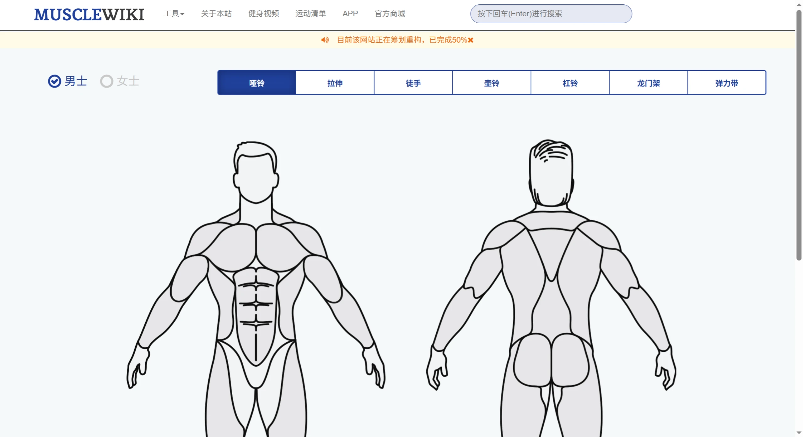 MuscleWiki中文版界面 MuscleWiki中文版界面