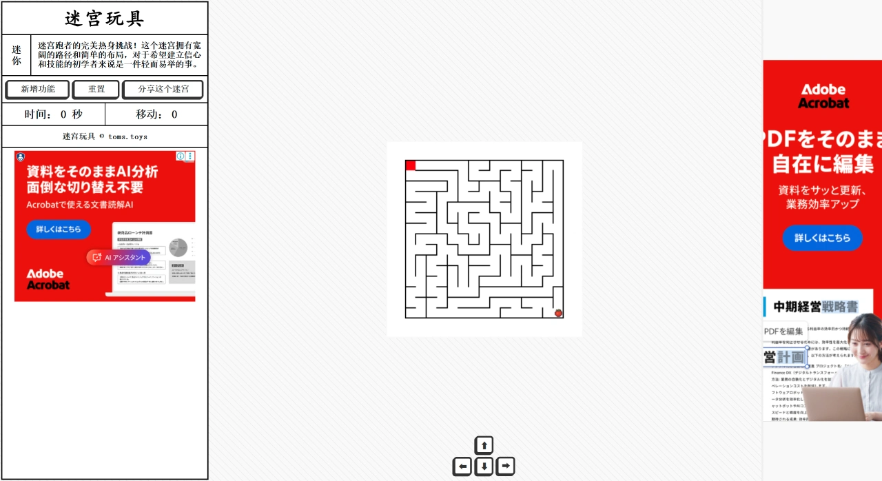 Maze Toys