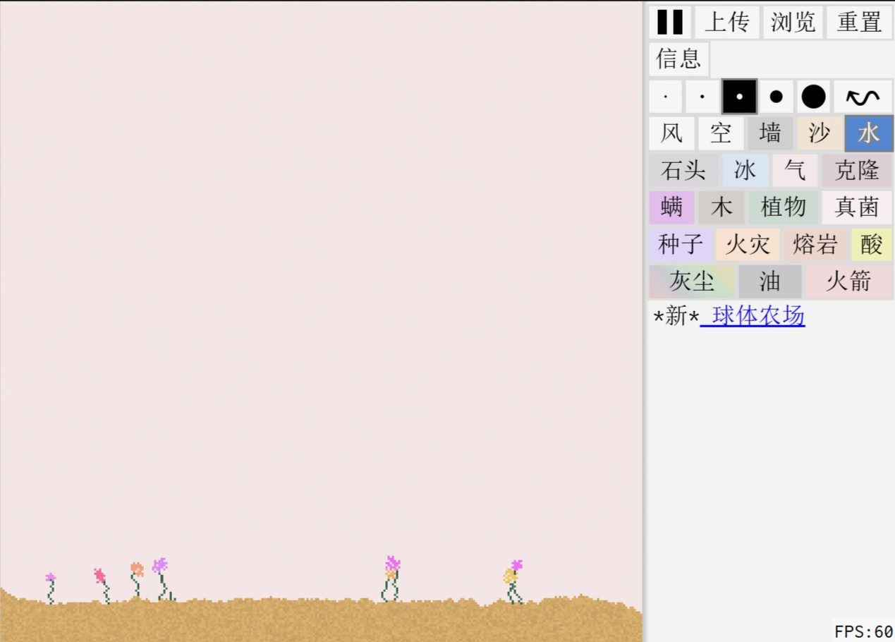 ff5dbe08-654d-4819-bc54-a21cddce5606.webp