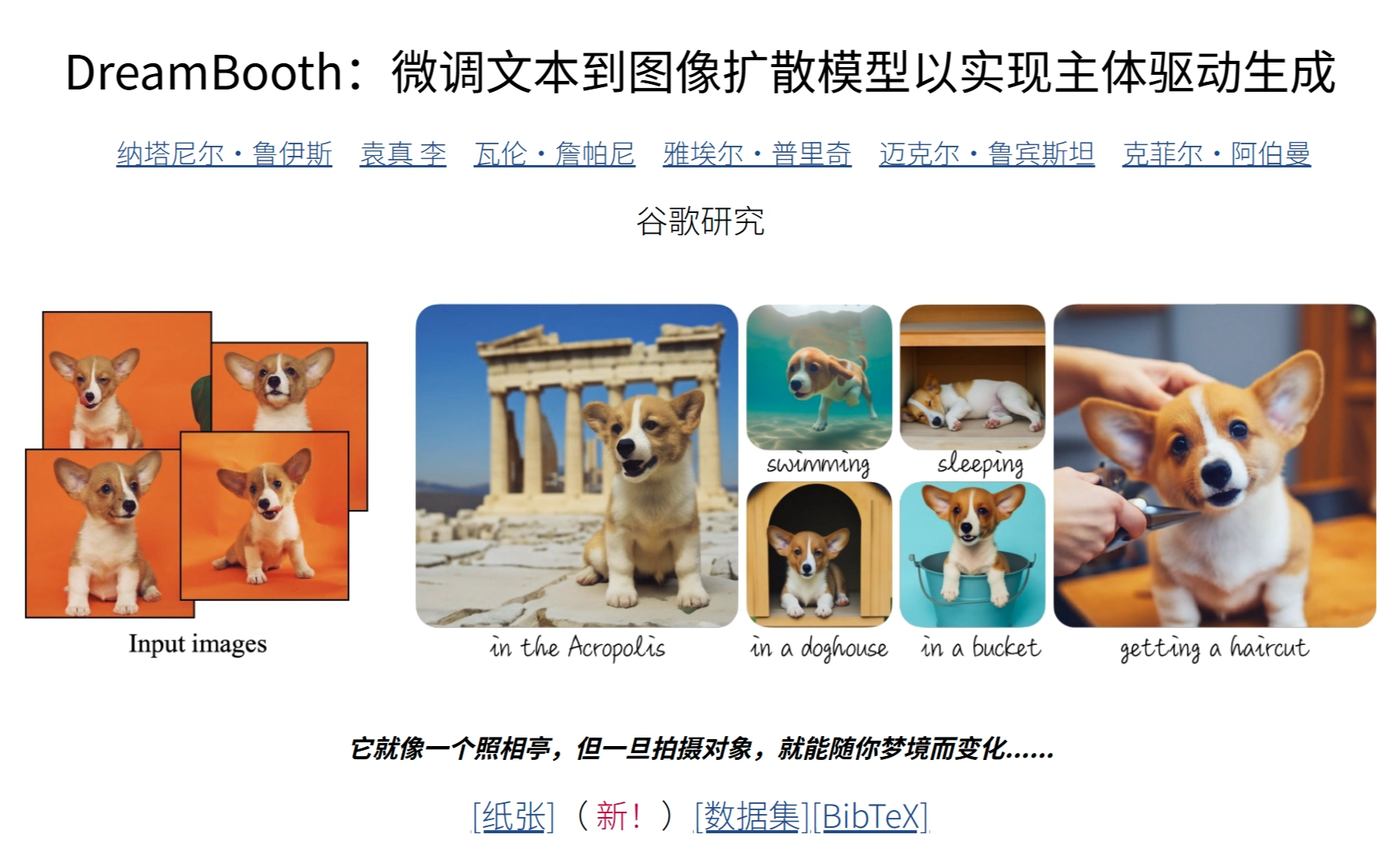 DreamBooth