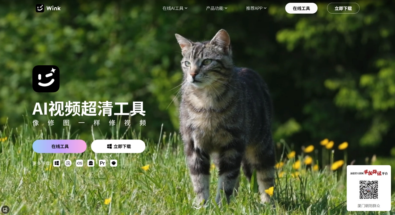 Wink(图1) Wink官网-画质修复电脑版-AI视频超清工具-像修图一样修视频 - wink.cn
